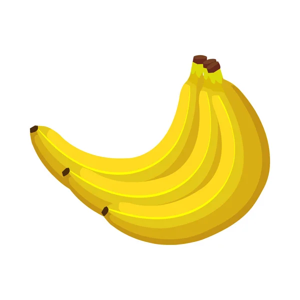 Bananas frescas frutas ícones da natureza — Vetor de Stock