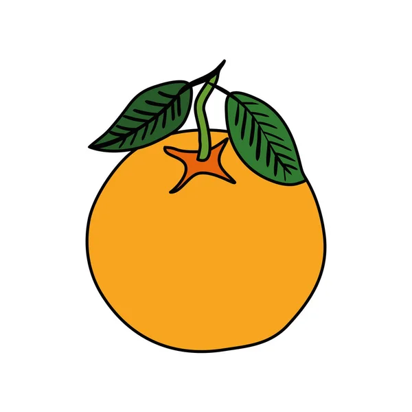 Fruta naranja fresca naturaleza icono — Vector de stock