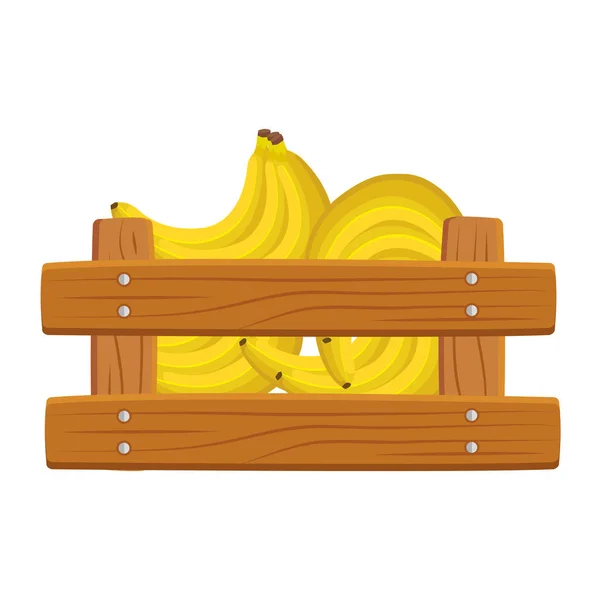 Fresh bananas fruits in wooden box — Stock Vector