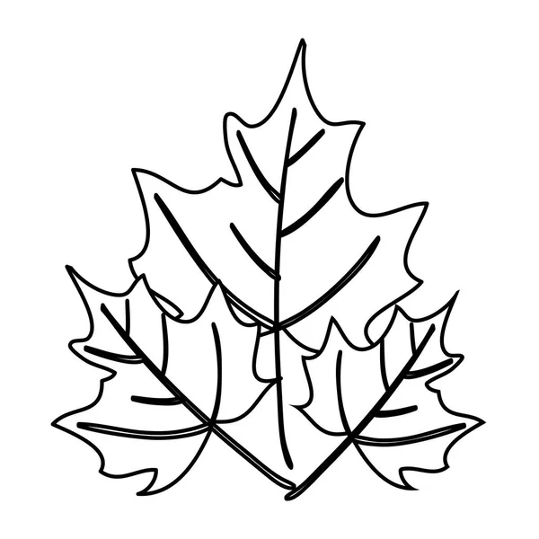 Otoño arce seco hojas naturaleza decoración — Vector de stock