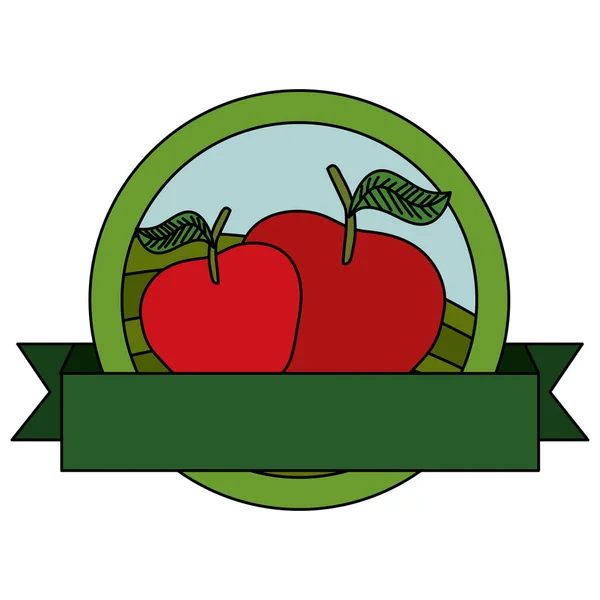 Frutas frescas de manzanas con sello de cinta — Vector de stock