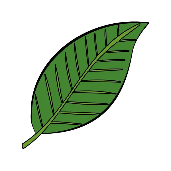 Ecologia folha planta ícone isolado — Vetor de Stock