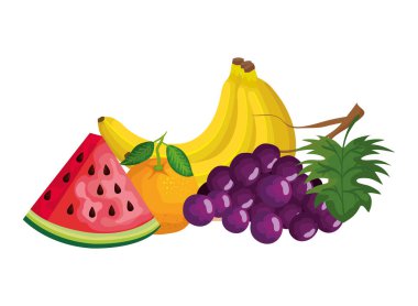 taze meyve doğa grubu