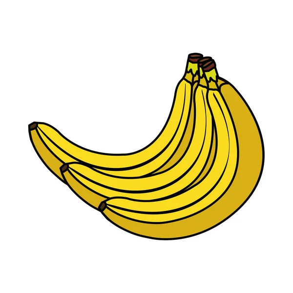 Świeże banany owoce natura ikony — Wektor stockowy