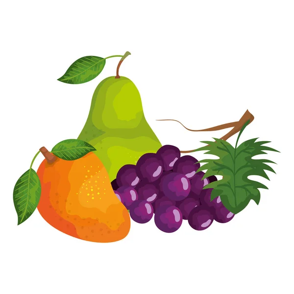 Grupo de frutas frescas naturaleza — Archivo Imágenes Vectoriales
