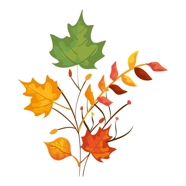 Autumn branch and dry maple leafs decoration — Stock Vector