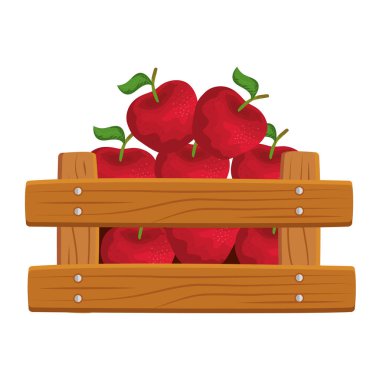 ahşap kutuda taze elma meyve