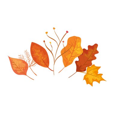 sonbahar dalı ve kuru yapraklar doğa simgesi