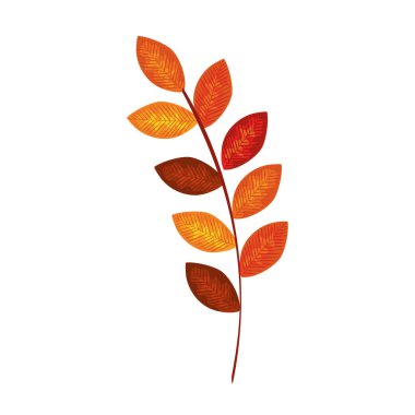 kuru yapraklar doğa simgesi ile sonbahar dalı