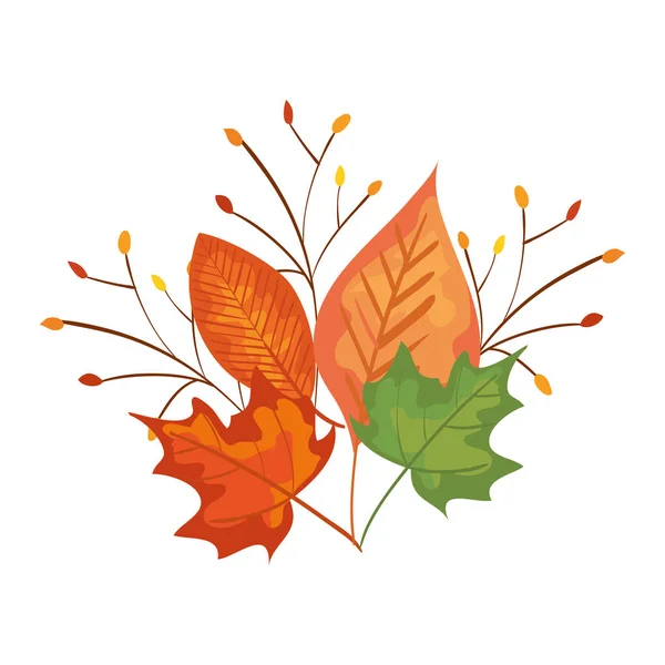 Herfst tak en droge Maple Leafs decoratie — Stockvector