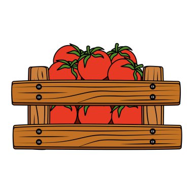 ahşap kutuda taze domates sebze