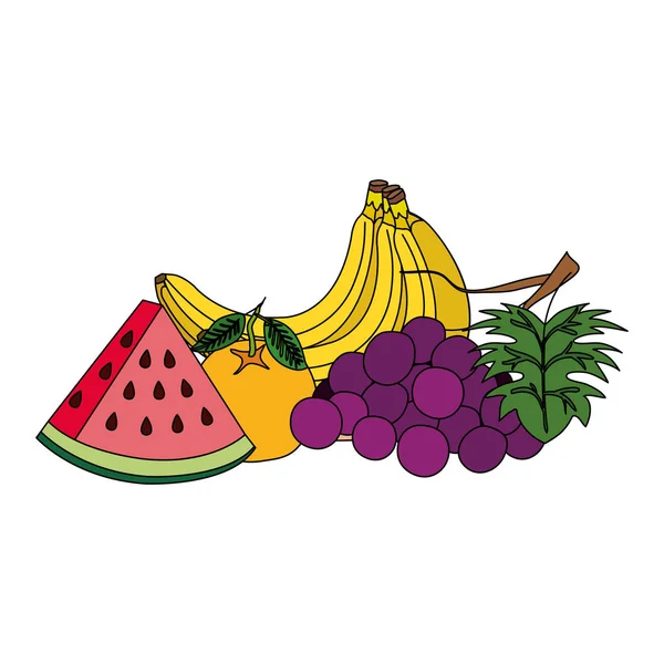 Grupo de frutas frescas natureza — Vetor de Stock