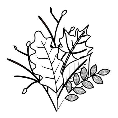 sonbahar dalı ve kuru akçaağaç yaprağı dekorasyon