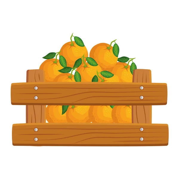 Свежие апельсины в деревянной коробке — стоковый вектор