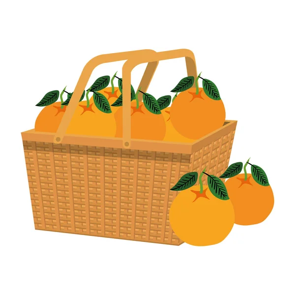Φρέσκα πορτοκάλια φρούτα σε καλάθι άχυρο — Διανυσματικό Αρχείο