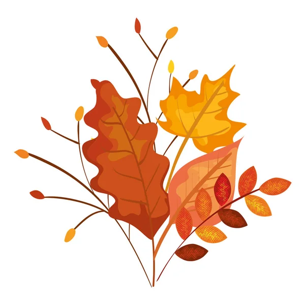 Rama de otoño y decoración de hojas de arce seco — Vector de stock