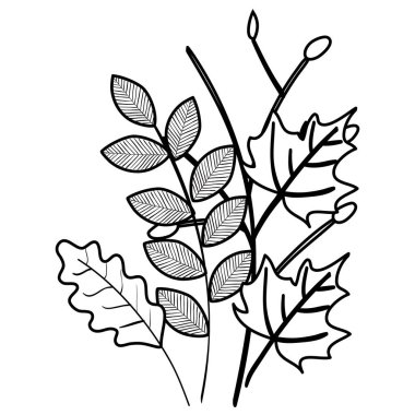 sonbahar dalı ve kuru akçaağaç yaprağı dekorasyon