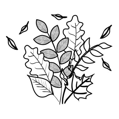 sonbahar dalı ve kuru akçaağaç yaprağı dekorasyon