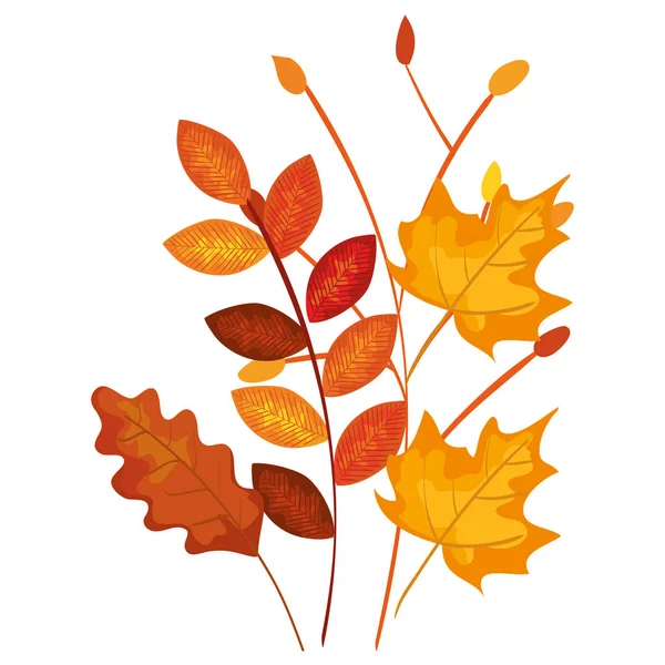 Autumn branch and dry maple leafs decoration — Stock Vector