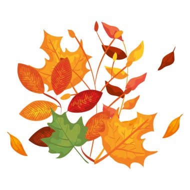 sonbahar dalı ve kuru akçaağaç yaprağı dekorasyon