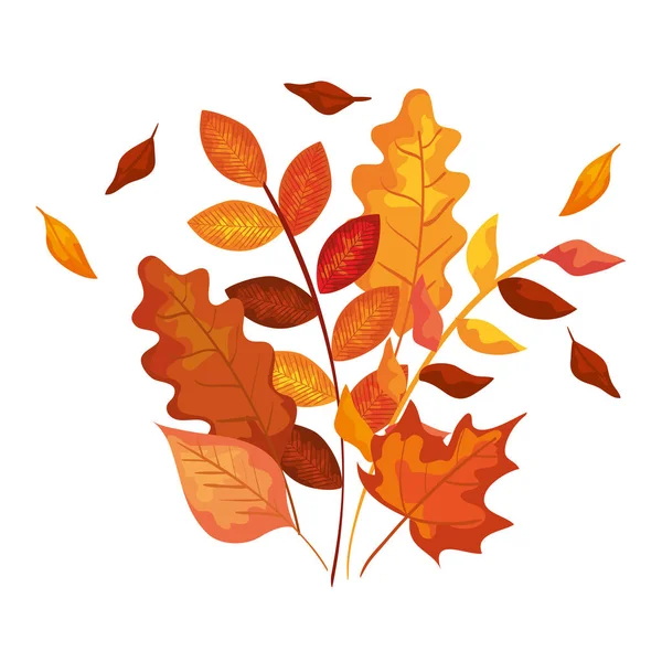 Осенняя ветвь и сухие кленовые листья украшения — стоковый вектор