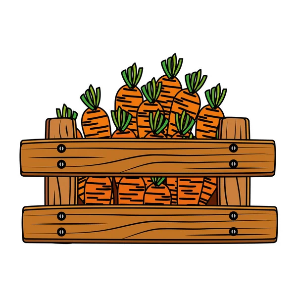 Свежая морковь овощи в деревянной коробке — стоковый вектор