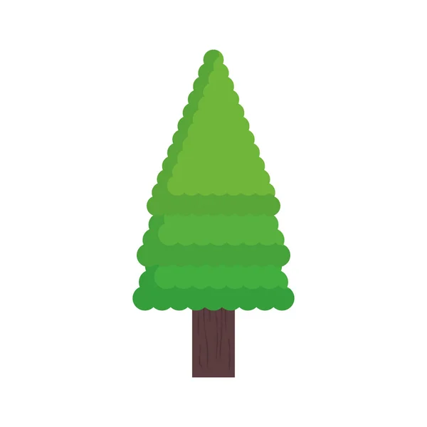 孤立した抽象と季節の松の木のデザイン — ストックベクタ