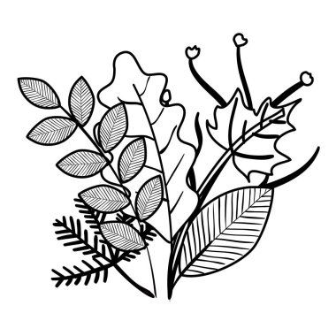 sonbahar dalı ve kuru akçaağaç yaprağı dekorasyon