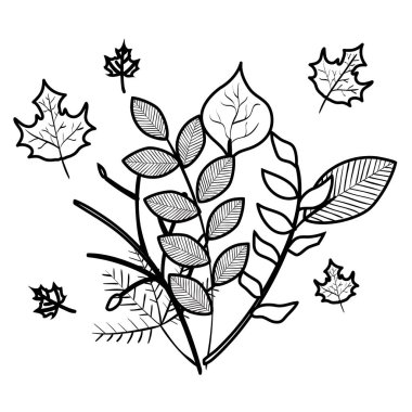 sonbahar dalı ve kuru akçaağaç yaprağı dekorasyon