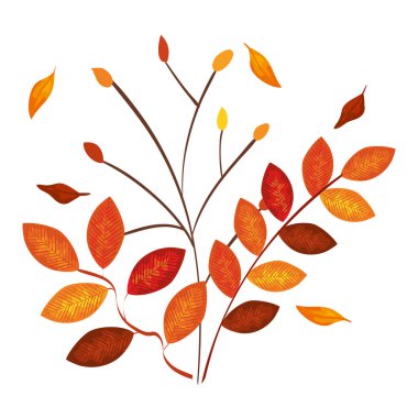 sonbahar dalı ve kuru yapraklar doğa simgesi