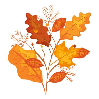 sonbahar dalı ve kuru akçaağaç yaprağı dekorasyon