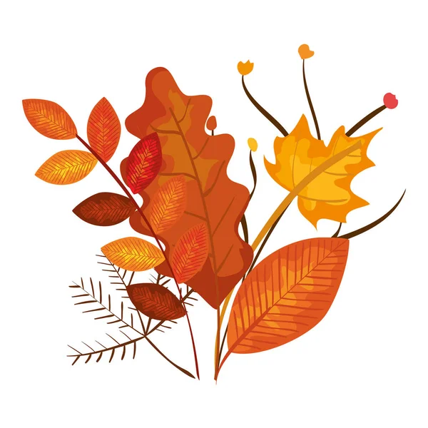 Rama de otoño y decoración de hojas de arce seco — Vector de stock