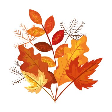 sonbahar dalı ve kuru akçaağaç yaprağı dekorasyon