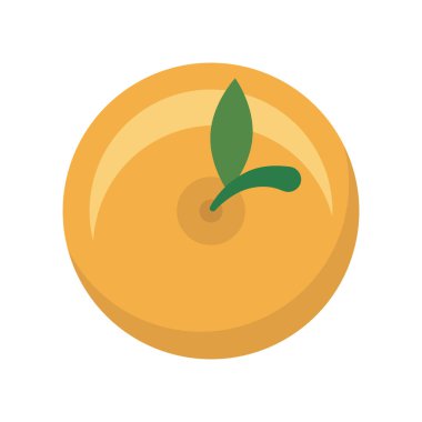 İzole portakal meyve vektör tasarımı