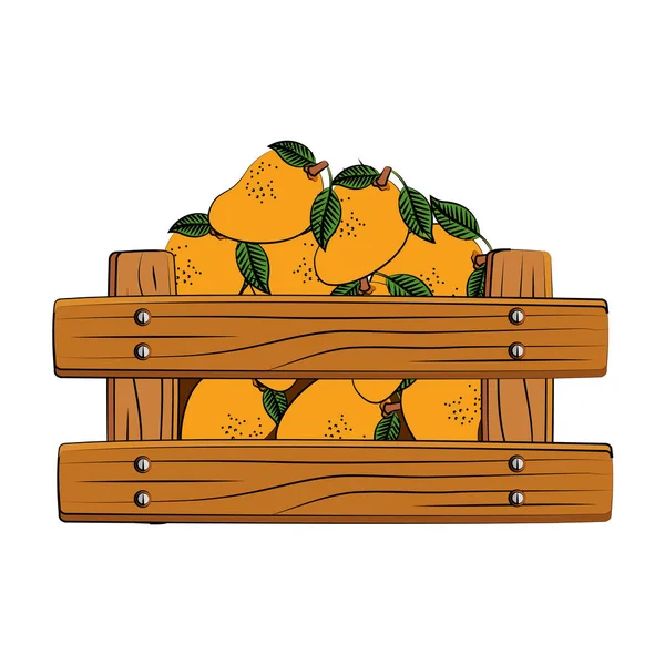 Frutas de mangas frescas em caixa de madeira — Vetor de Stock