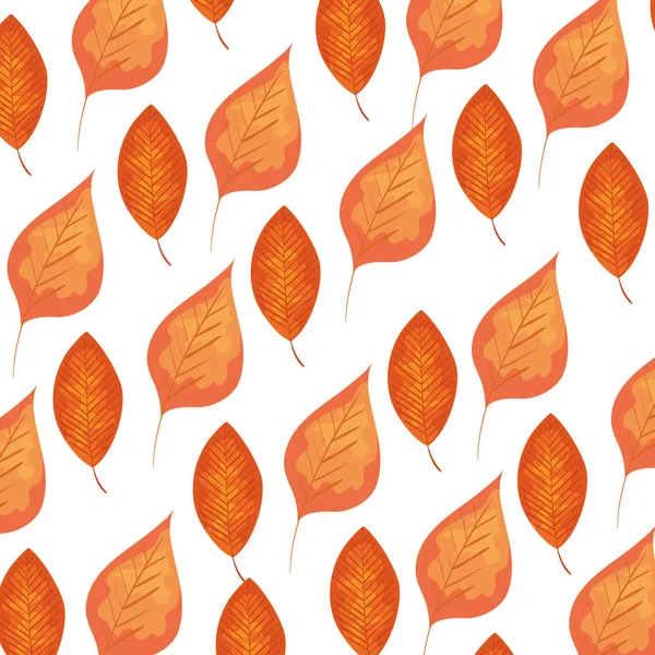 Automne feuilles sèches motif nature — Image vectorielle