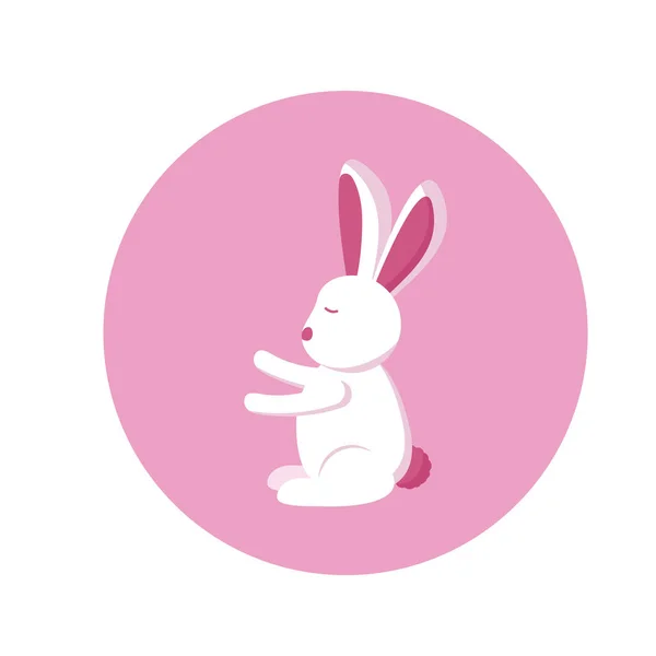 Conception isolée de vecteur de dessin animé lapin — Image vectorielle