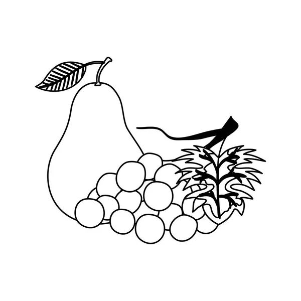 Grupo de frutas frescas naturaleza — Vector de stock