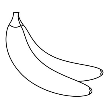 İzole muz meyve vektör tasarımı