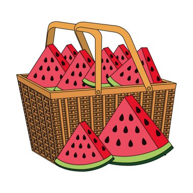 sepet saman taze karpuz meyve