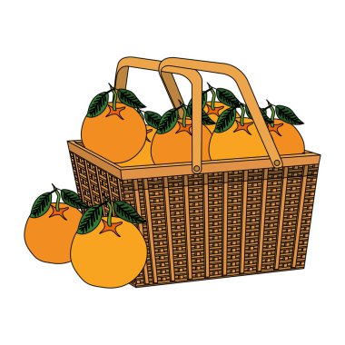 saman sepeti taze portakal meyve