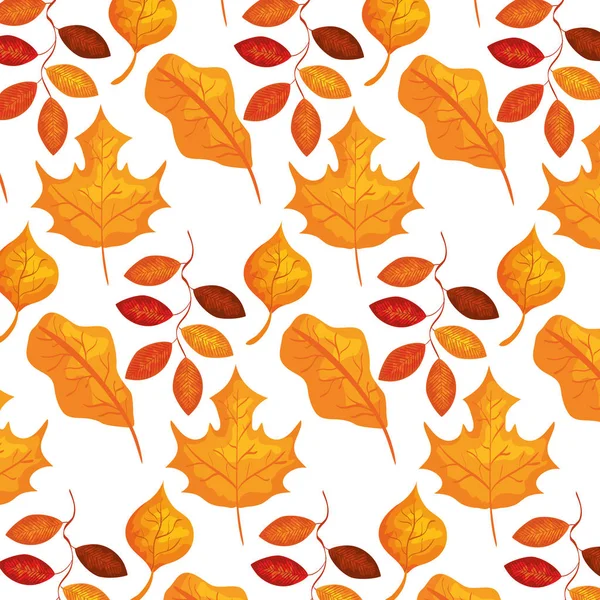 Podzimní větev a suchý vzorek javorového listové — Stockový vektor