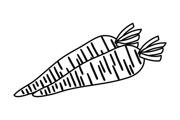 Taze havuç sebze doğa simgesi — Stok Vektör