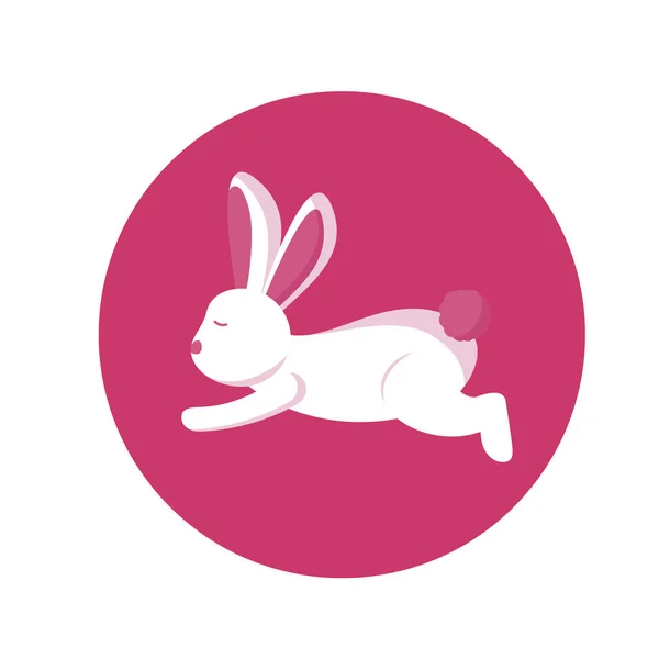 Coniglio isolato disegno vettoriale cartone animato — Vettoriale Stock