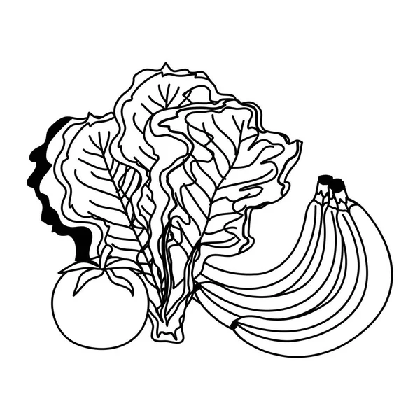 Taze meyve ve sebze grubu