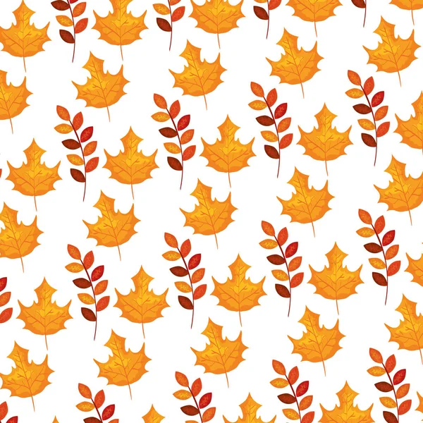 Podzimní větev a suchý vzorek javorového listové — Stockový vektor