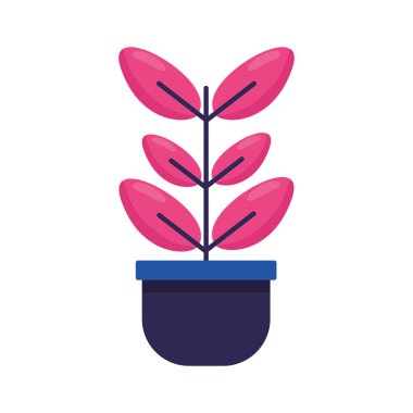 Yaprakları tasarımı ile izole bitki