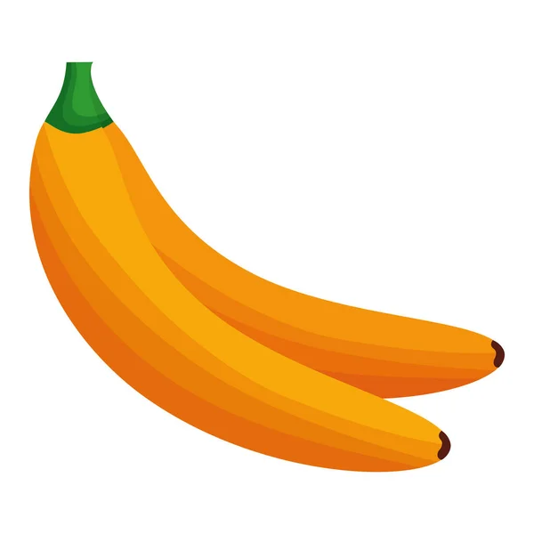 Изолированный вектор банановых фруктов — стоковый вектор