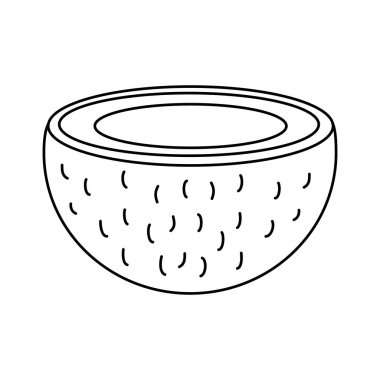 İzole hindistan cevizi meyve vektör tasarımı