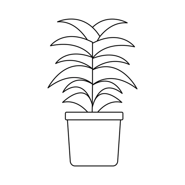 Isolated plant inside pot vector design — Stock Vector